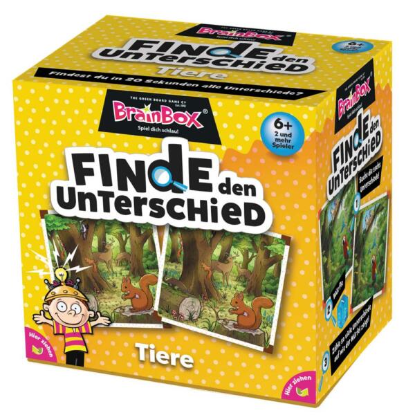 Brain Box Schachtel