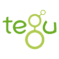 Tegu Markenlogo Holzbaukasten