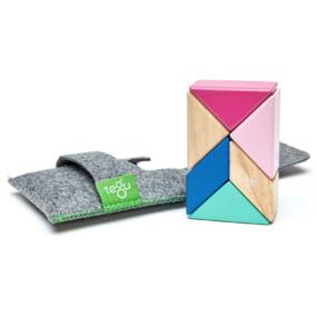 Tegu magnetische Bausteine pink