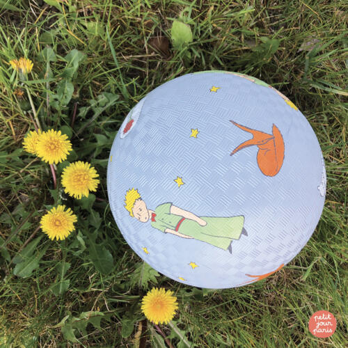 Der Spielball liegt in einer Wiese.