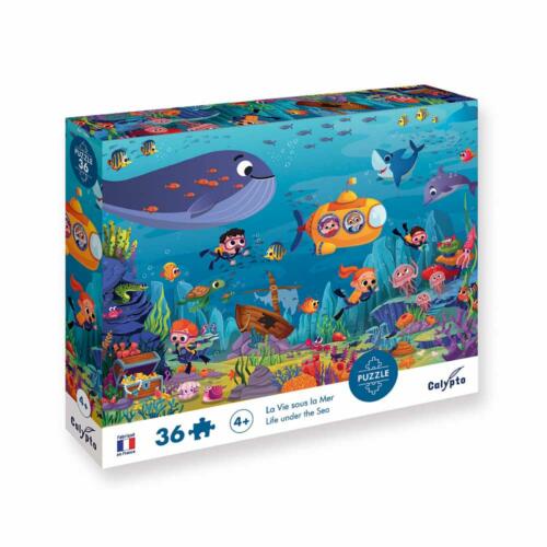 Die Schachtel des Calypto Puzzle ist hübsch illustriert und zeigt Informationen zum Produkt.