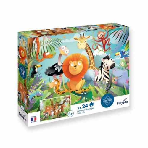 Die Schachtel des Calypto Puzzle ist hübsch illustriert und zeigt Informationen zum Produkt.