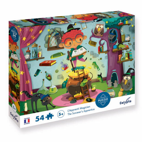 Die Schachtel des Calypto Puzzle ist hübsch illustriert und zeigt Informationen zum Produkt.